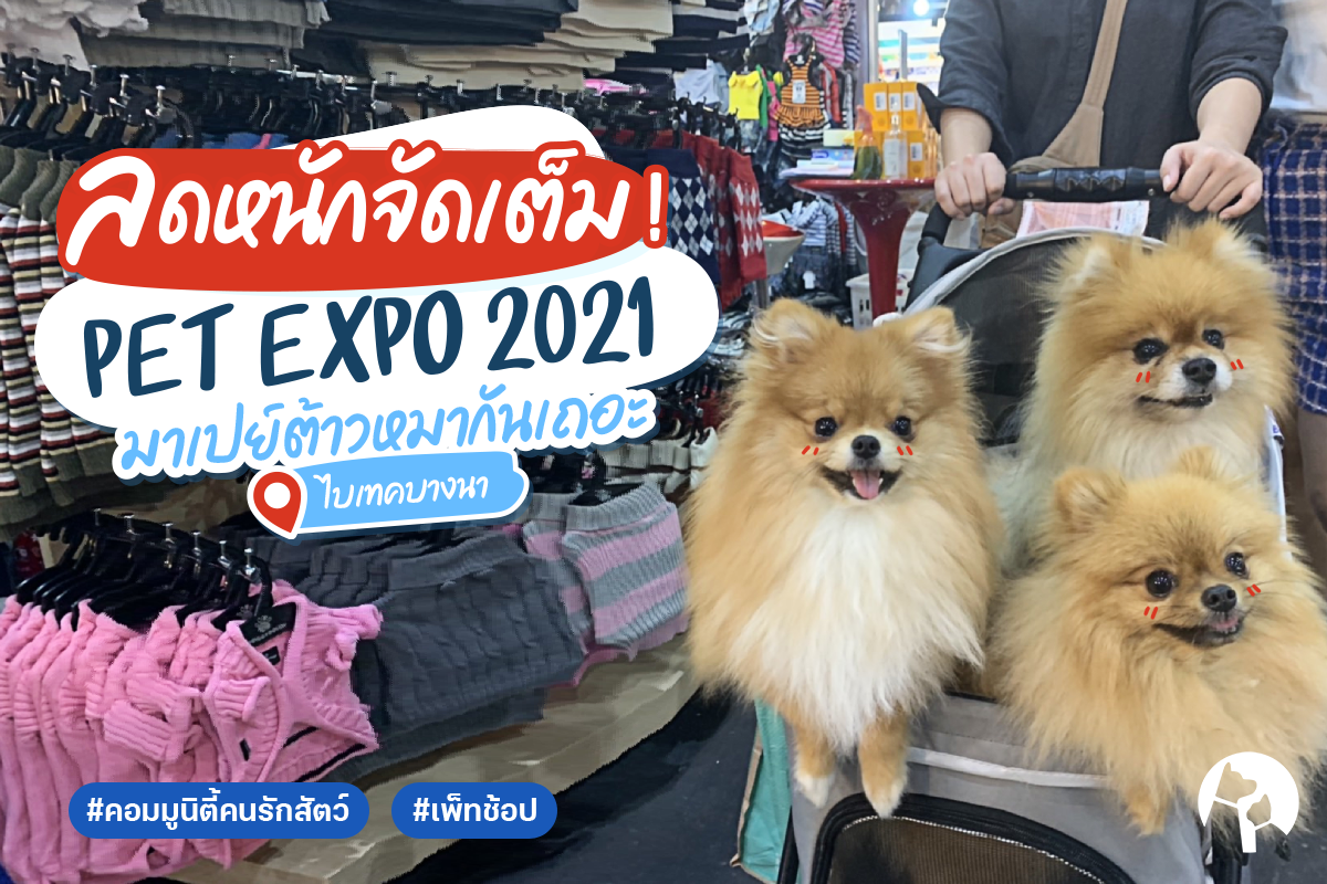 Dogilike พาตะลุย Pet Expo Thailand 2021 มาเปย์ต้าวหมากัน!